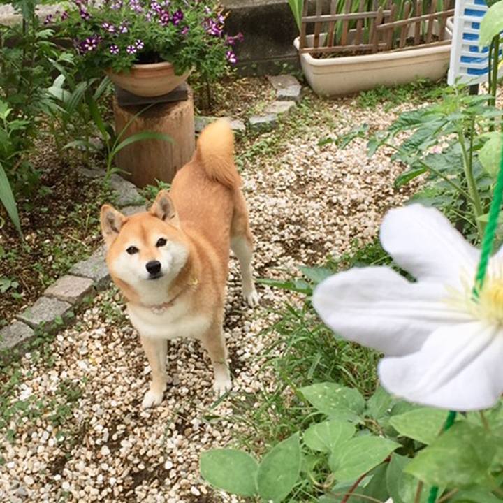 73010616 a8f9 4a33 90a2 fcbc7768697f 1559516857530