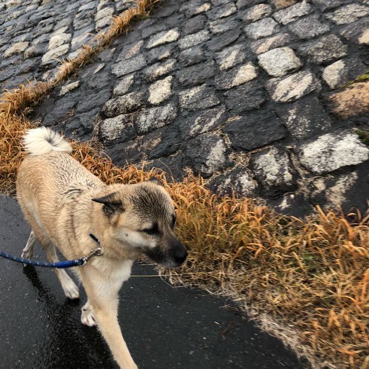 730114e0 67da 404a 8310 9d89ab7664fe 1581839722579