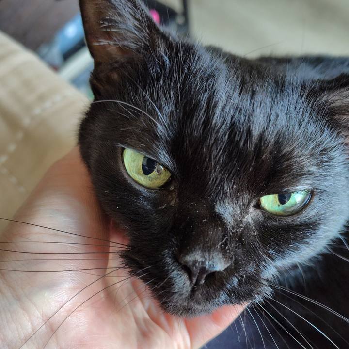 73011dc8 fc66 40ee 9ac8 9f0ce4fd5a96 1755414193743