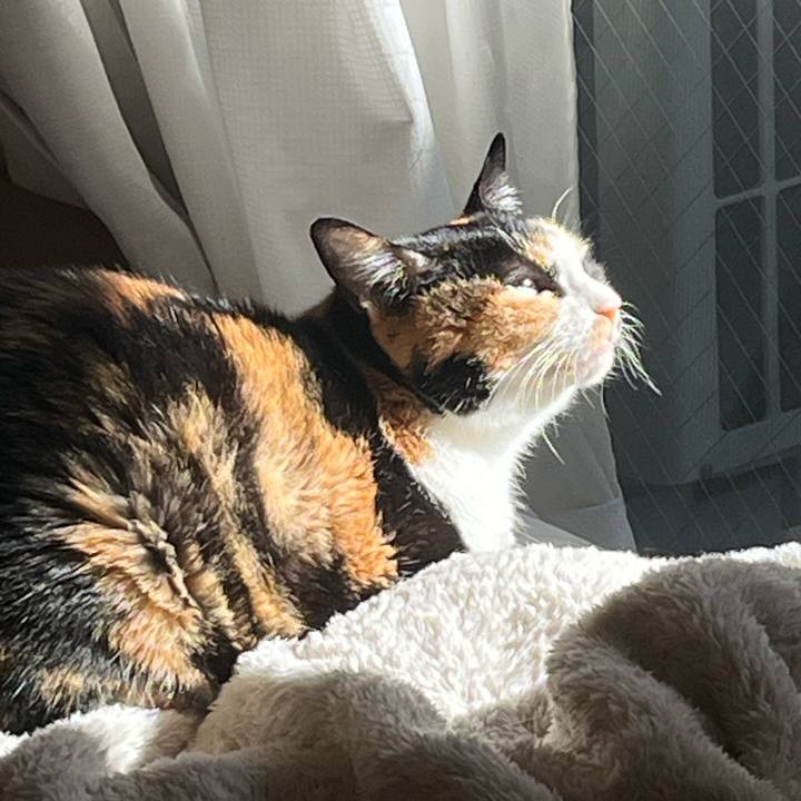 73011fc8 bebe 4f28 89d4 caf3f5d4f035 1764900684368