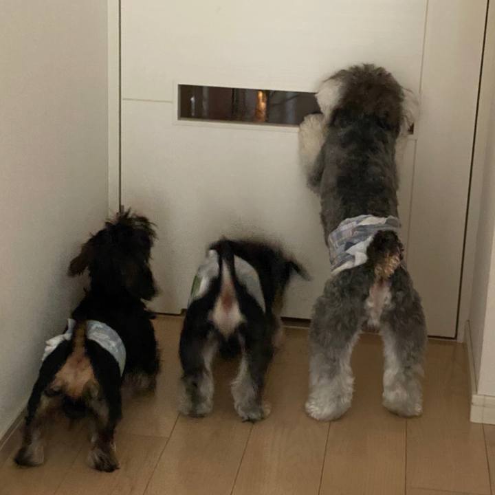 73013e01 5b41 4cee b61c f2141d968f38 1596879975537