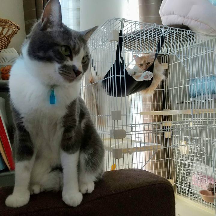 730155a0 7903 4eeb 91bf 972b89bb4e52 1649493923276