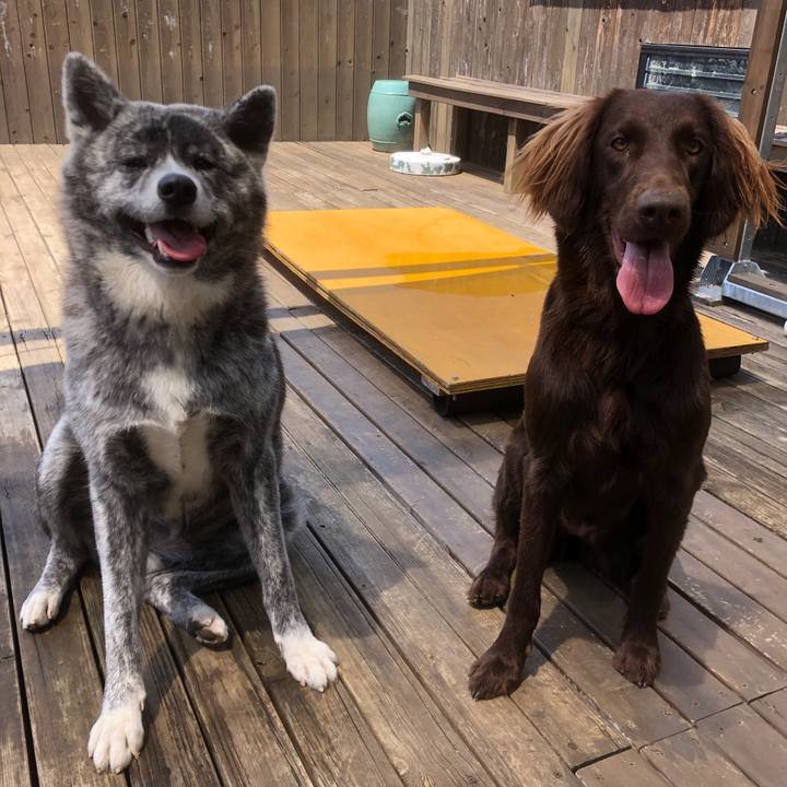 7301b5a8 3592 4f4b 8b7e fd9d00c34a9c 1587868518109