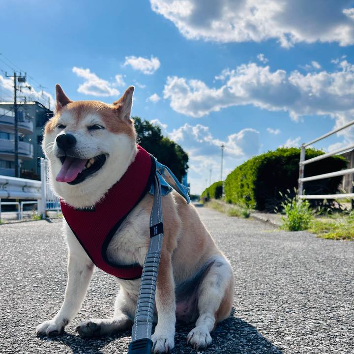 73021335 26d1 4287 a6bb 01e60dc88208 1728799174833