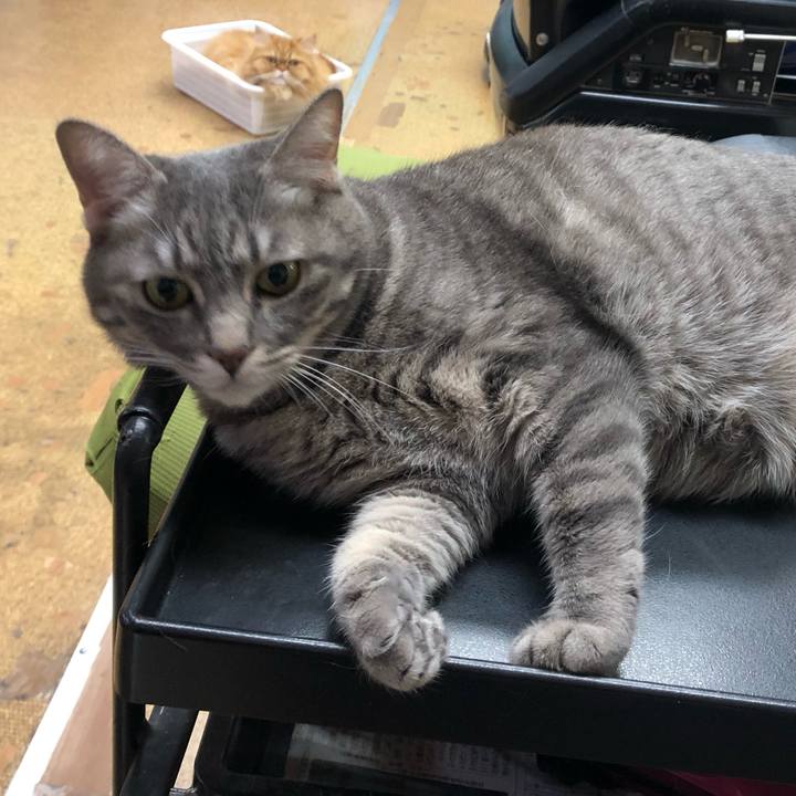 73021cca 923a 4e4d 9f32 302c15db5978 1577839580355