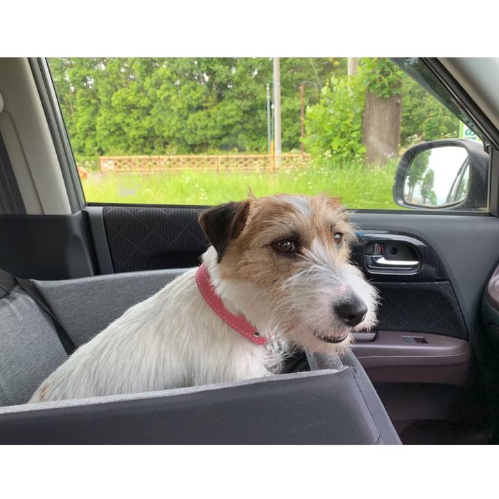 73022bff 4ad1 499b 882c 63b7dc5f7078 1591585192231