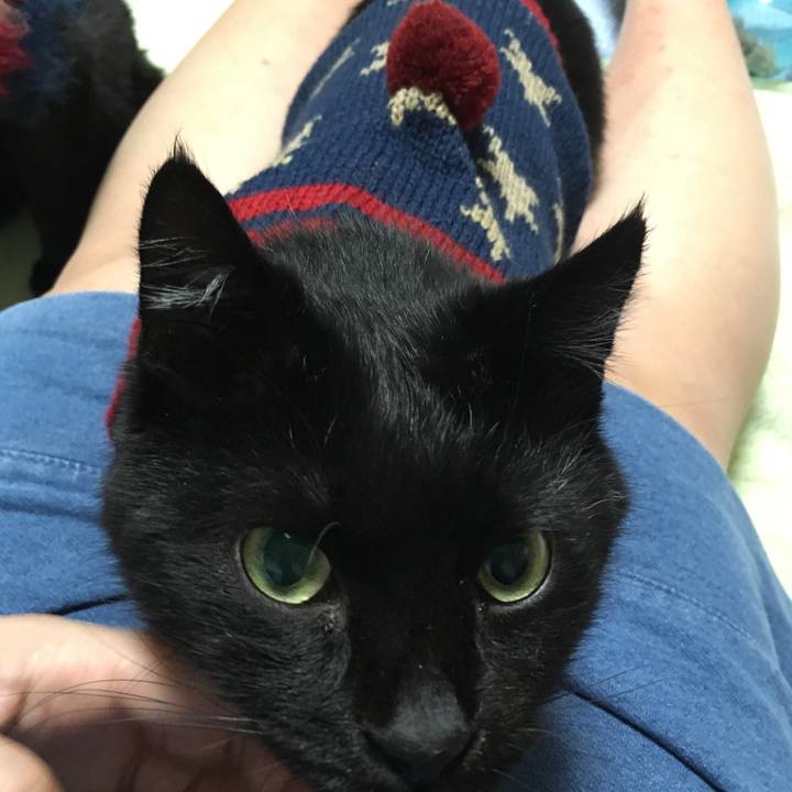 7302346a 81c1 499d 9a83 aecad485d36a 1539869321105