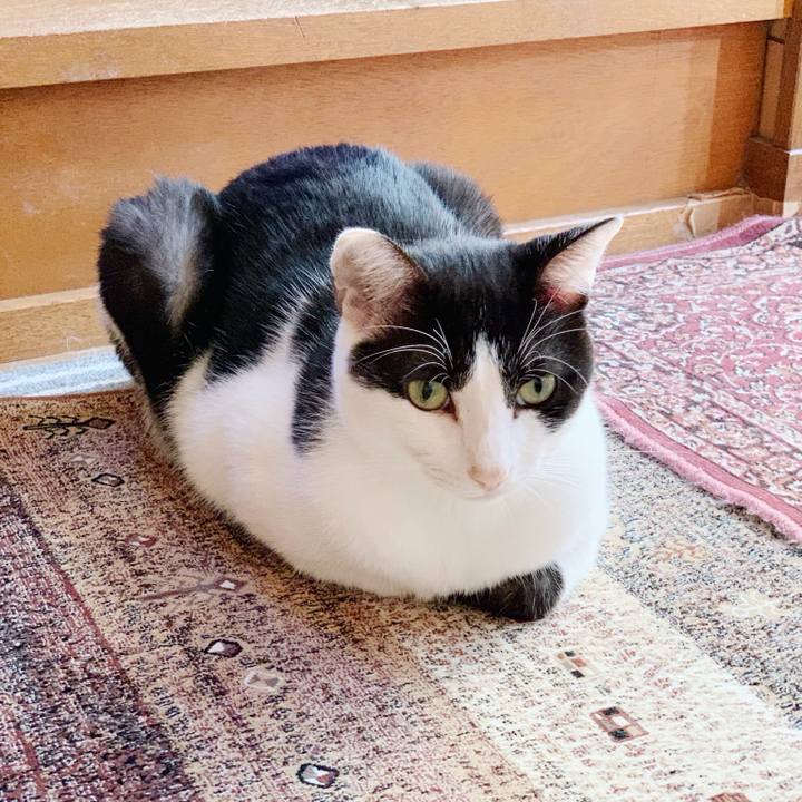 73024917 a16b 4ed4 a015 79bd84b2a41f 1541125128832