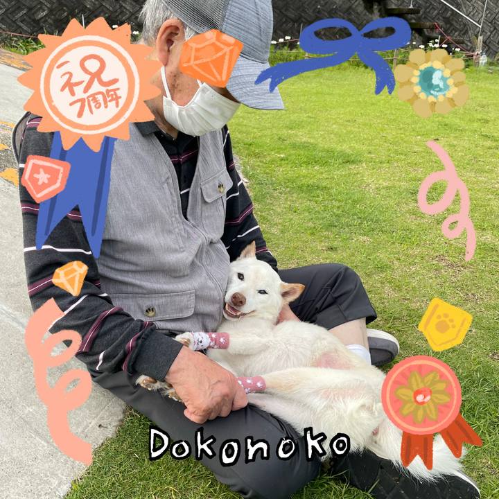 73026d9e b5f6 4a6a bc10 ba15a6a037c9 1685969821457