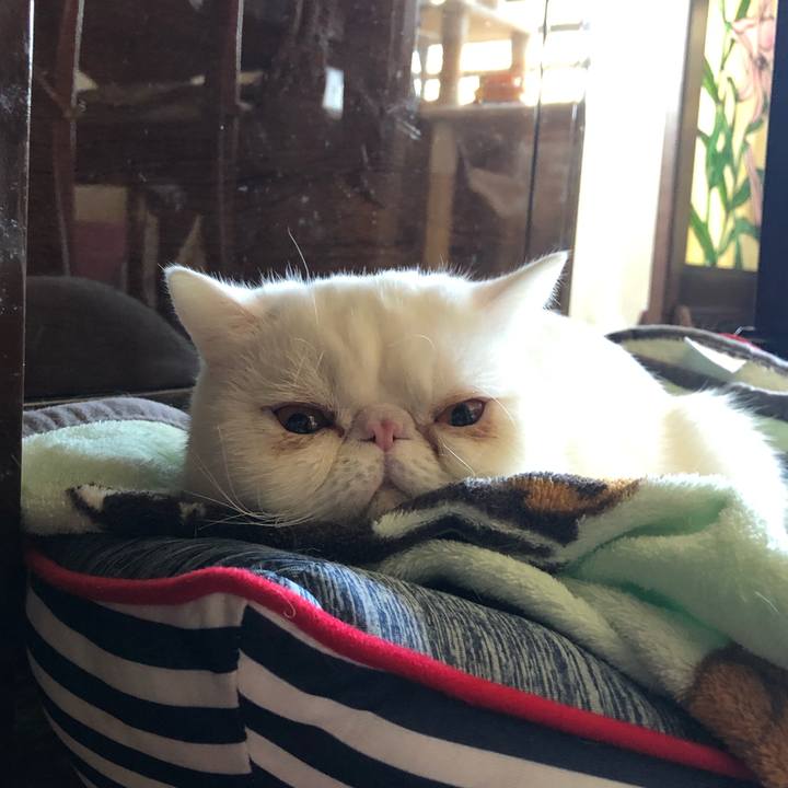 730289eb bfaa 4111 856f 94d94fd296f8 1612606476686