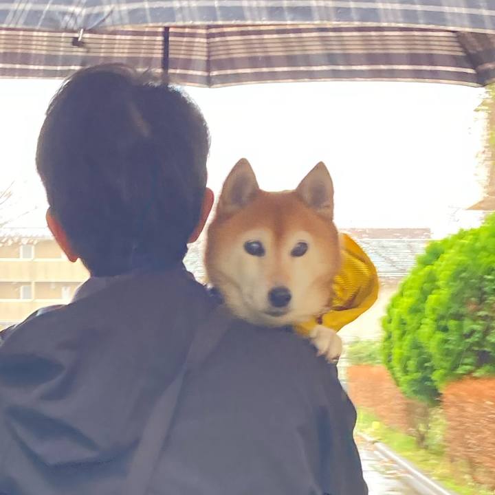 7302dff9 55de 42f4 aea9 005d57baabee 1743211484271