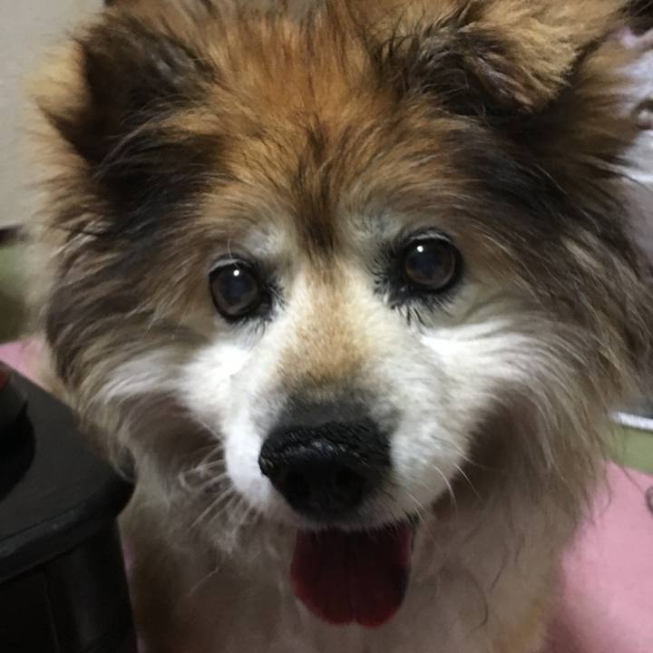 7302e976 5baf 4fa1 9605 a48204b68ed6 1606207294172