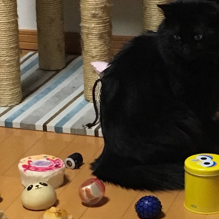 73031331 a626 4c06 a616 e23a1f110dbd 1520779453612