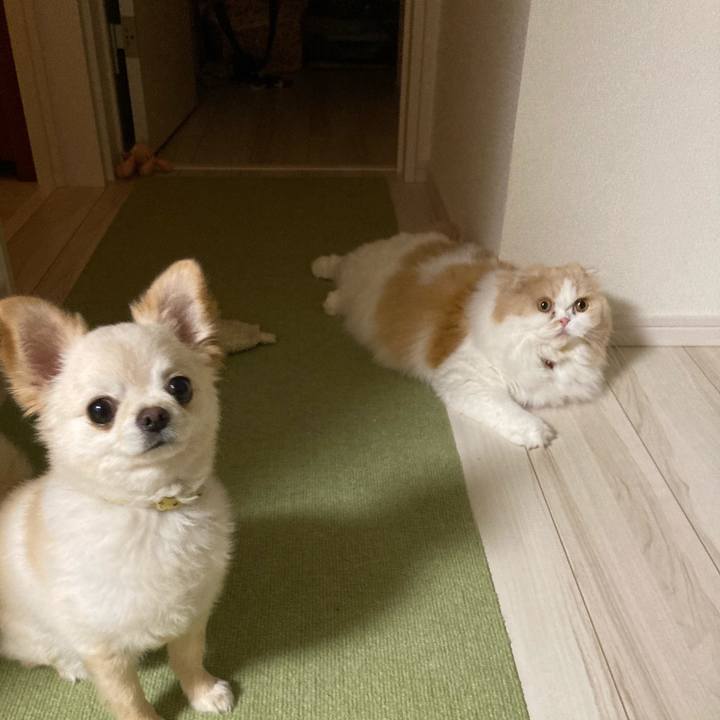 73032693 cc64 4a1e ae60 e41af136acb6 1627738257811