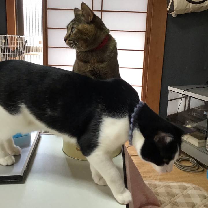 73039864 9f2f 4bc5 b876 de83e3f8d430 1642654828375