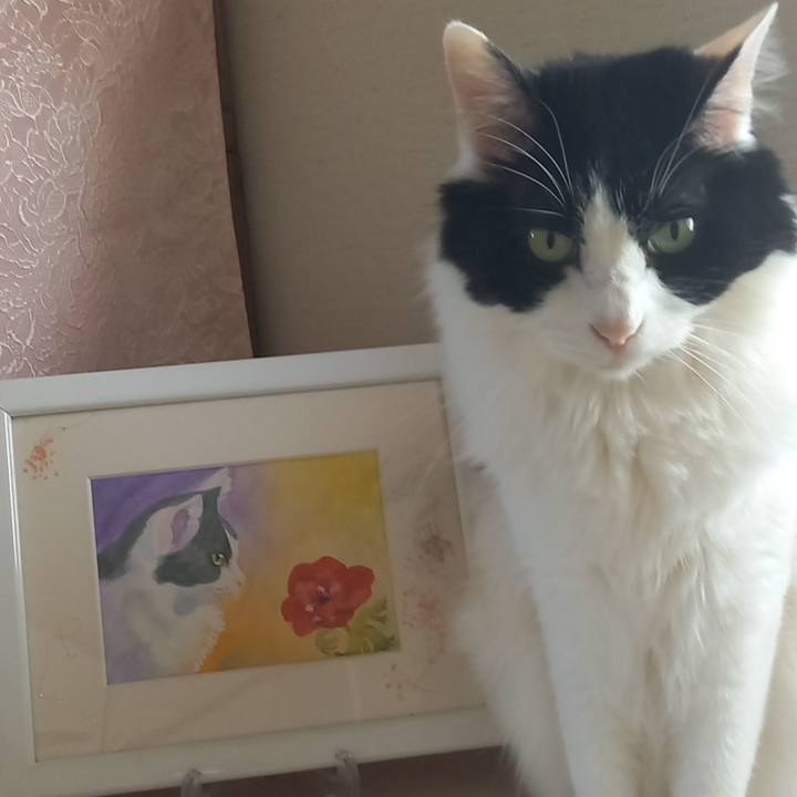 7303a658 1db2 4785 9264 dcc90d2342f6 1649625931823