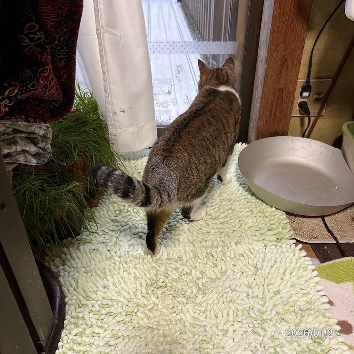 7303acdf 094c 4e52 a966 b88b3e4b15c2 1769465006548