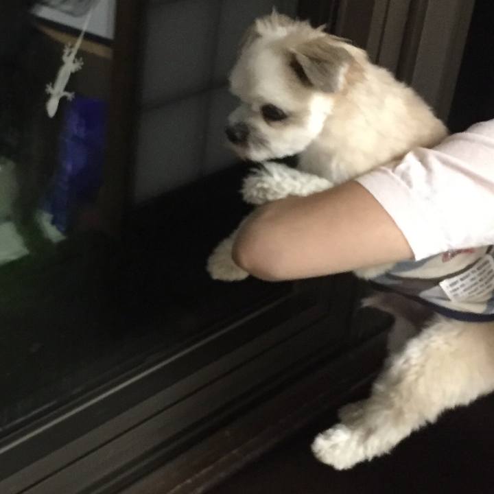 7303e3eb ebe6 471b 8ead dcfaee016c2e 1566643291353