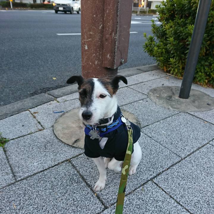 7303f243 9d1b 4fe7 9852 6c9abef70e30 1513634807200