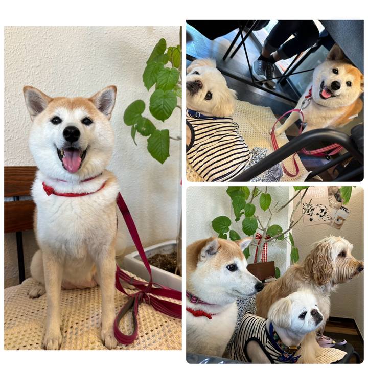 73042d70 a0e1 4360 adf9 a2a2cc06846d 1754008157586