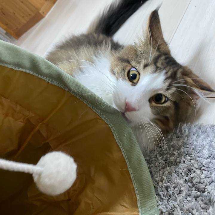 730454e1 6c86 4e46 a5b7 f438b3de21b4 1639562279908