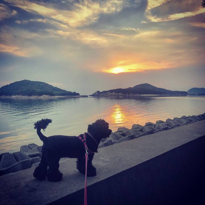 730465d6 4216 49da 86f3 bb68d4a9be55 1528026074893