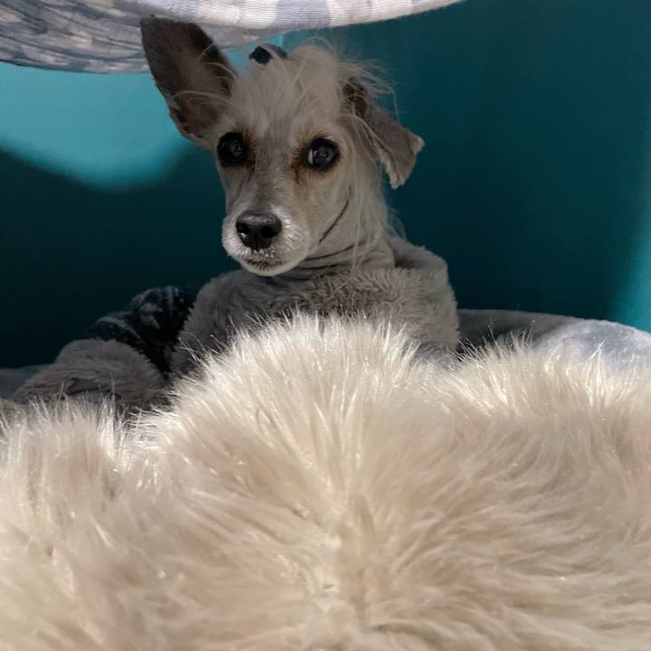 7304d61f c218 4762 8d15 3f74b73d4294 1767690987083