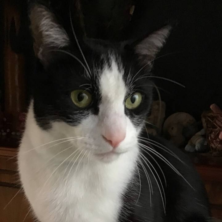 730539bf 7d31 43c3 a30e 3c93a198758f 1748944648081