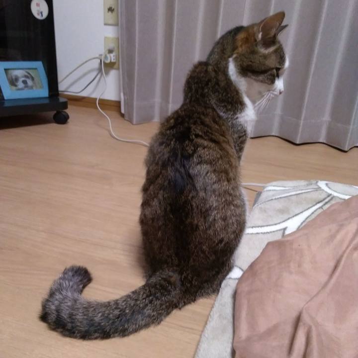 7305ba0f c1c9 40be 8ce2 af909977a614 1524136162806