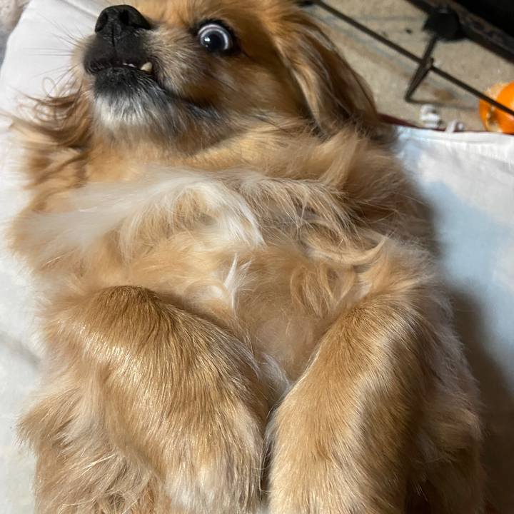 7305c6fb 2c3f 4e6e b323 ad2e85e78f17 1644005941976