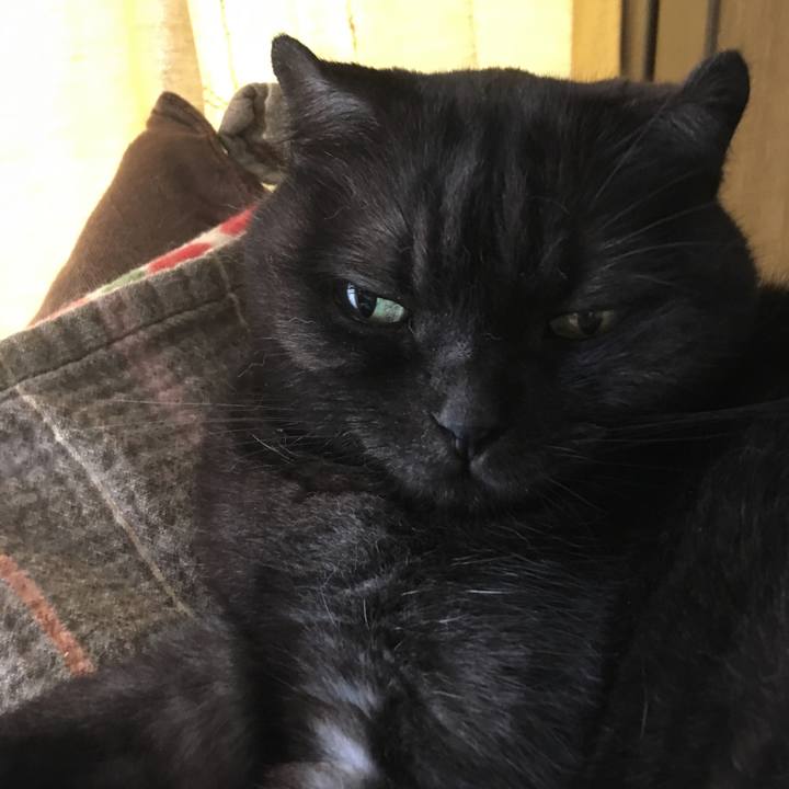 7305c76c eb1b 4a04 aa30 e37fe1ab22ad 1537402842277