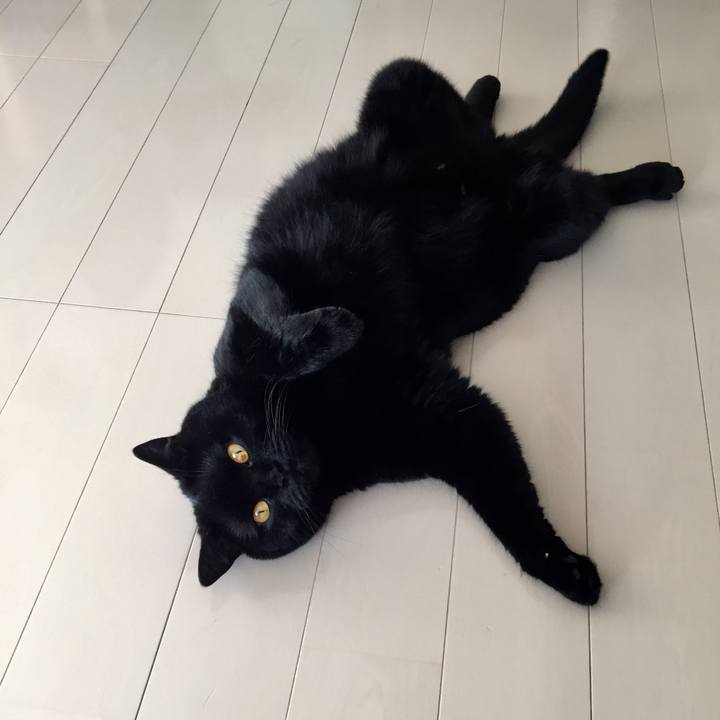 7306067d 585c 467d 9be6 52c349c27caa 1595636940060