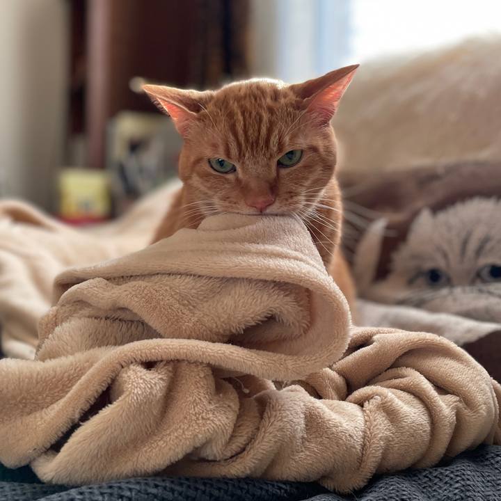 73061237 d845 4db8 b033 3c9cd948d5b3 1771715886089