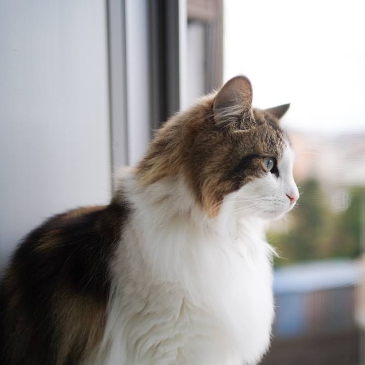 7306250c ec63 4244 9556 f4a2961984f0 1585285824197