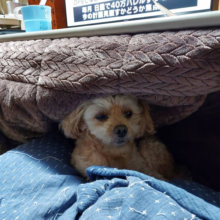 73062cf0 9d71 427b 8270 e2d50c7b9ad4 1636030032173