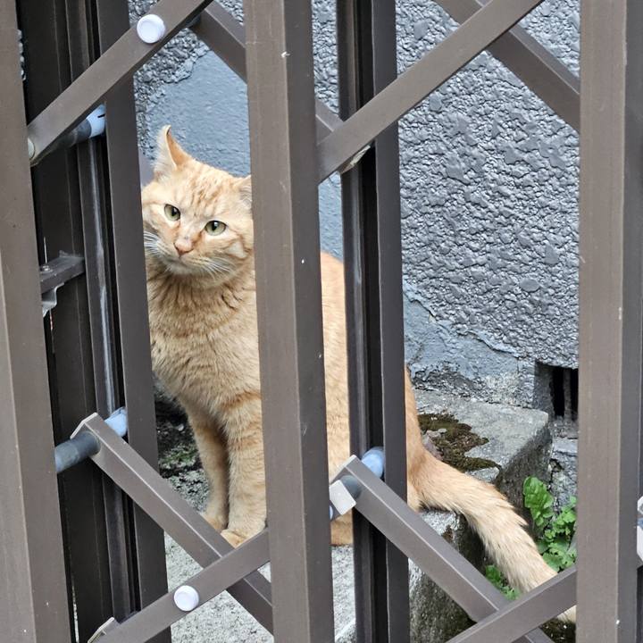 730642dd dc96 4b7c 977c 3d3f6ccf748b 1711883423262