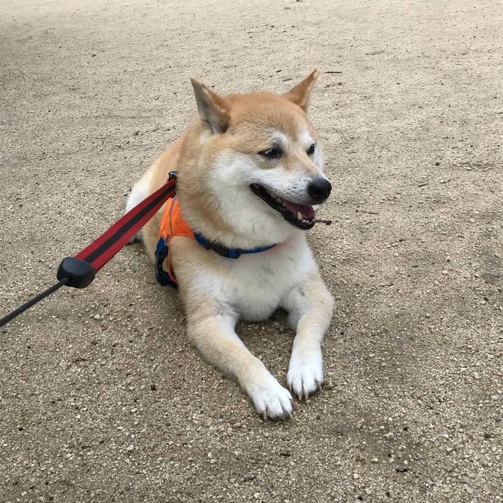 73064e85 00b8 4772 a767 8adbdab55bee 1528347253176