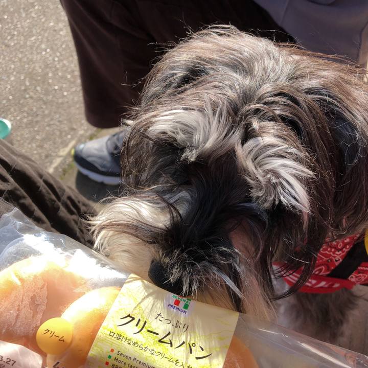 7306744e 6e46 4c3b 8268 14c29ceb63df 1521848325174