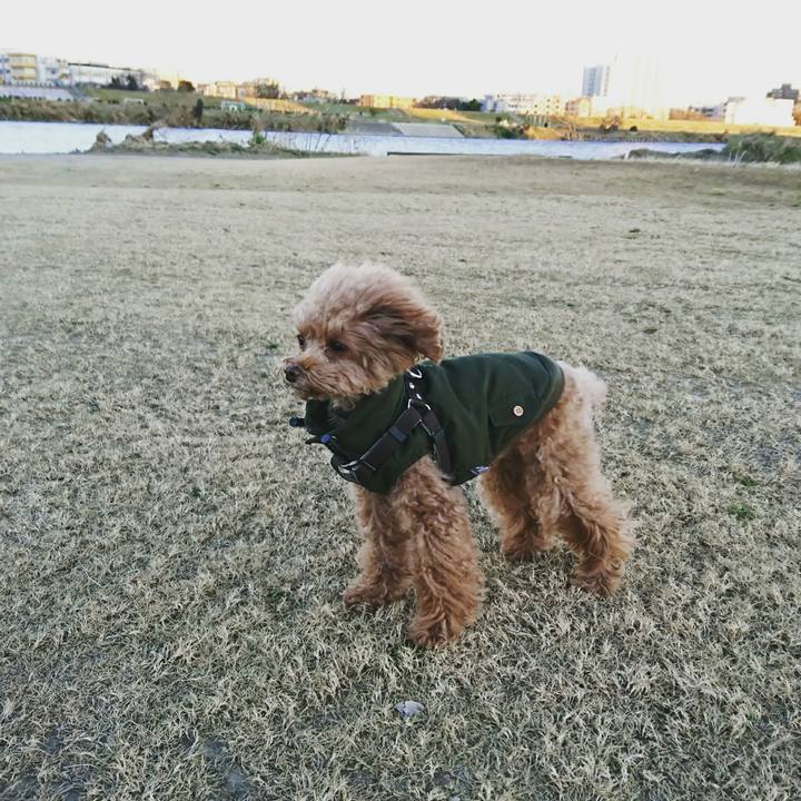 73068da8 569c 4340 b556 dd3552dfd218 1515025348422