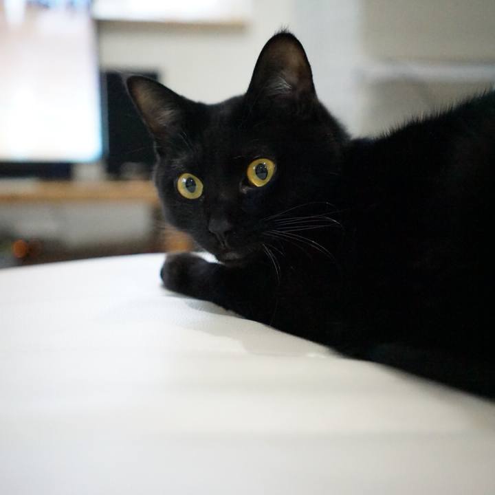 73068eb4 e1f4 4314 8ce2 95b2dcc71543 1542334428791