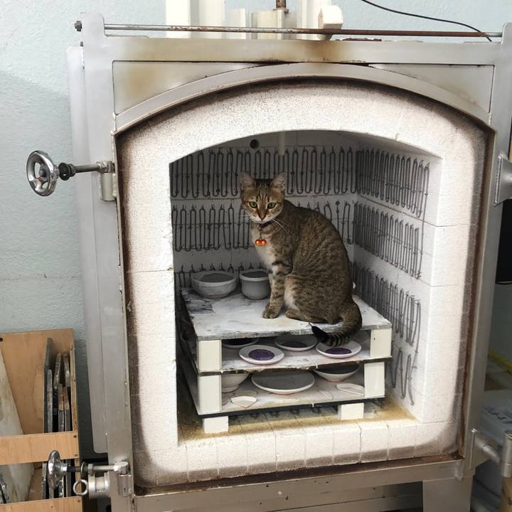 7306a88f aa6c 42ee a682 68b9b1bd4e0f 1657681660182