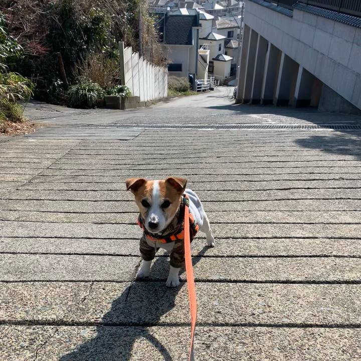 7306c8d4 447f 4e38 b1b2 c6802f487ec5 1646787031383