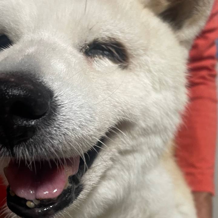 7306e251 8fa9 477b b6c7 42714e1f233e 1759666984430