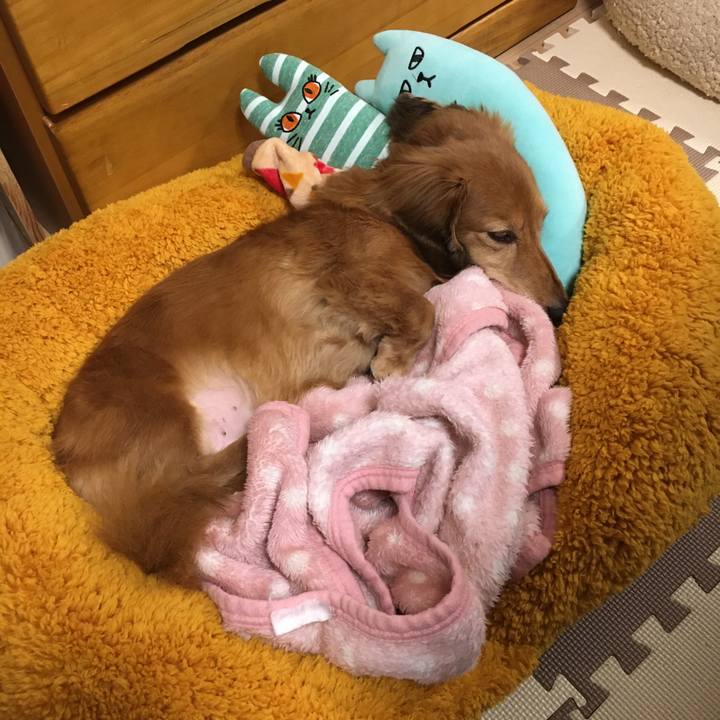 7306f0cf 1462 457d 8ecb 1a9e37d34ee4 1609409482970