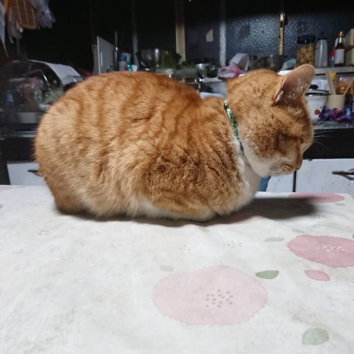 7306ff2c be3d 4509 a6c0 02ce696ec9e0 1580505454421