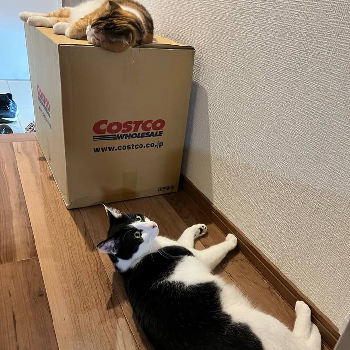 730710ab 70ed 4174 a416 c8abf50e2b06 1718029656613