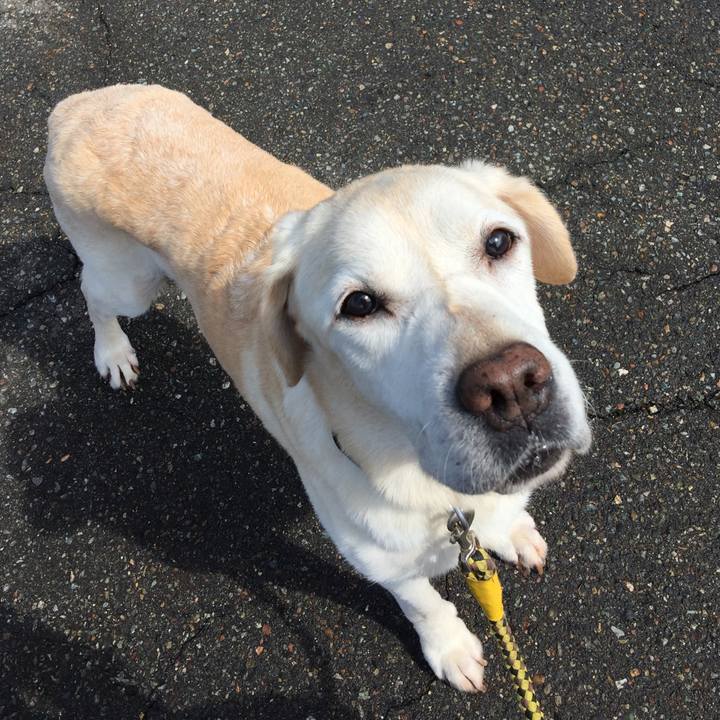 73073342 29e3 4a20 870f 7f847df56e8a 1536113118270