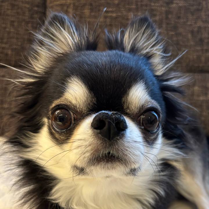 73073433 eb8a 45b6 ae74 b7f4dca84791 1743289916668