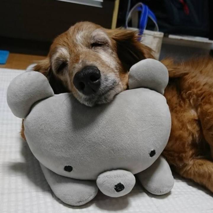 73073962 5832 40c3 94aa c37808f06c84 1758817548763