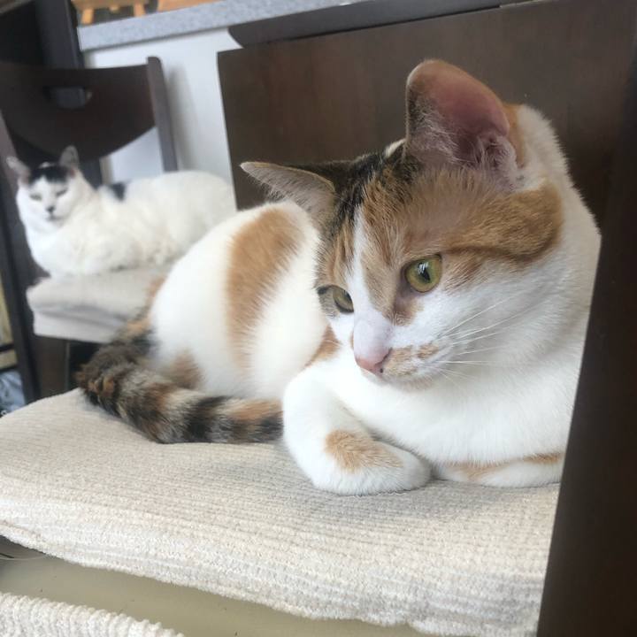 730765c5 4c6a 44a1 916d 25bdbfbd4ce8 1587684668553